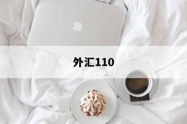 外汇110(外汇110最新版下载)